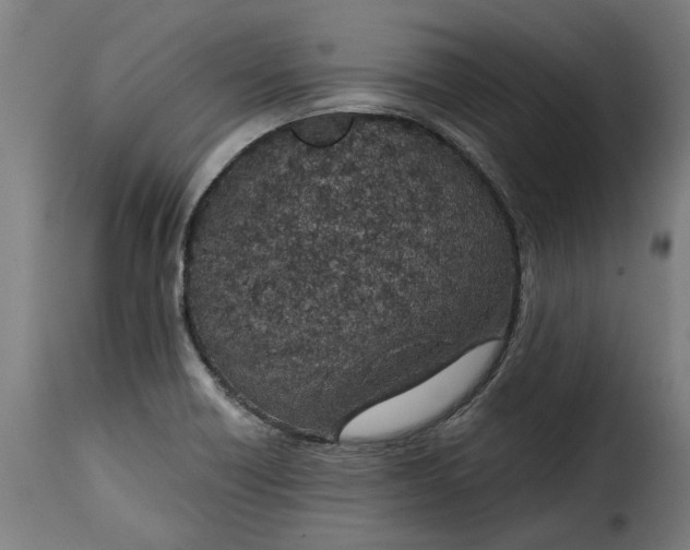 X0000115251418200911201632