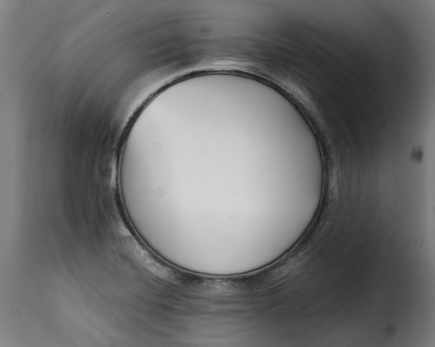 X0000115251420200911201632