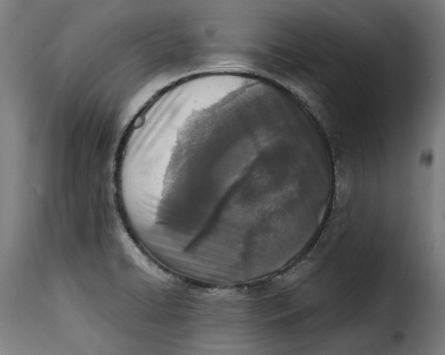 X0000115251422200911201632