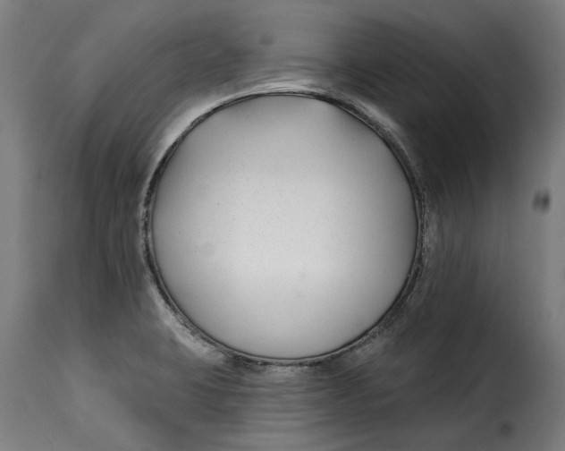 X0000115251423200911201632