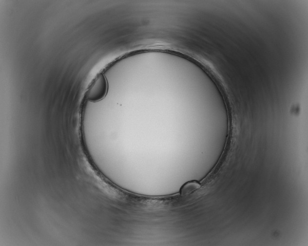 X0000115251424200911201632