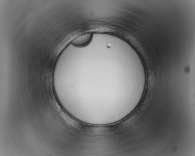 X0000115251425200911201632