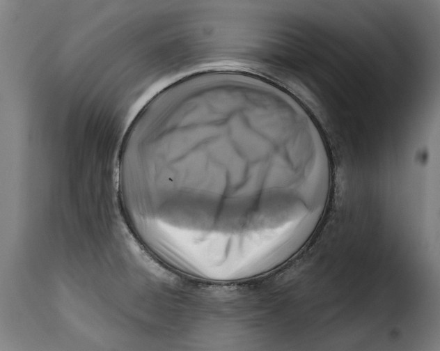 X0000115251428200911201632