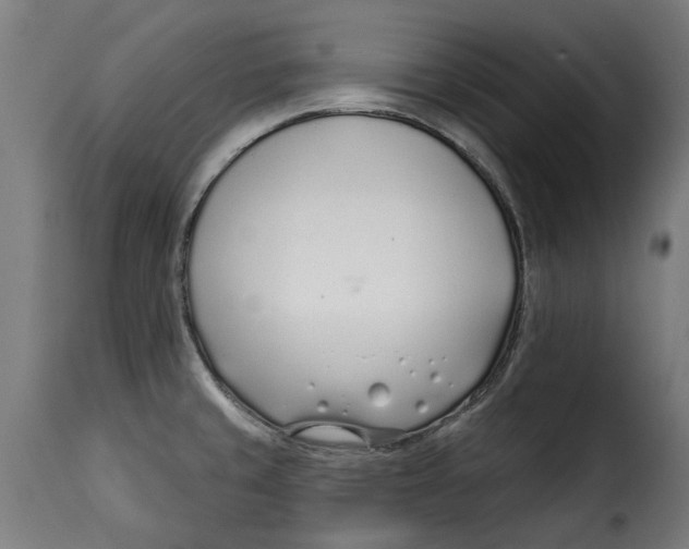 X0000115251429200911201633