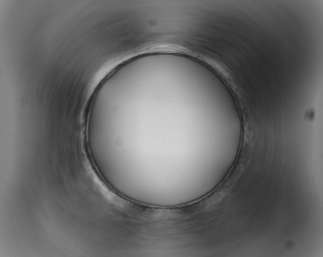 X0000115251430200911201633