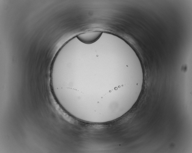 X0000115251431200911201633