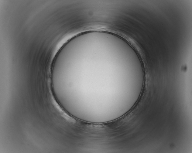 X0000115251432200911201633