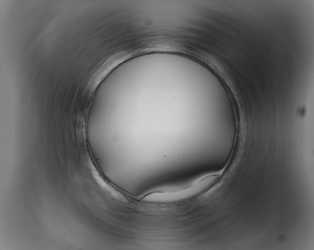 X0000115251433200911201633