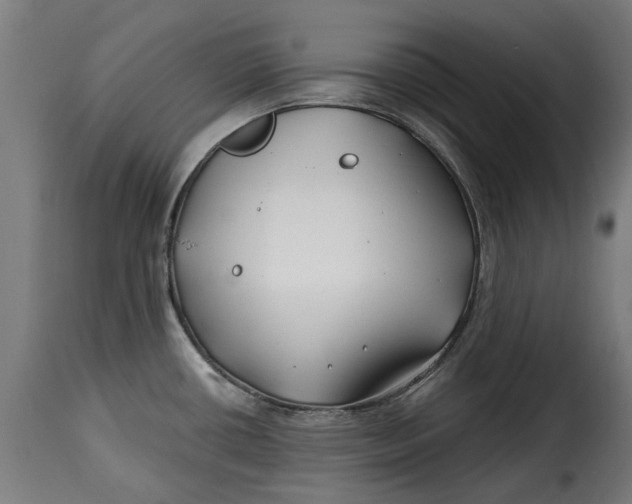 X0000115251434200911201633