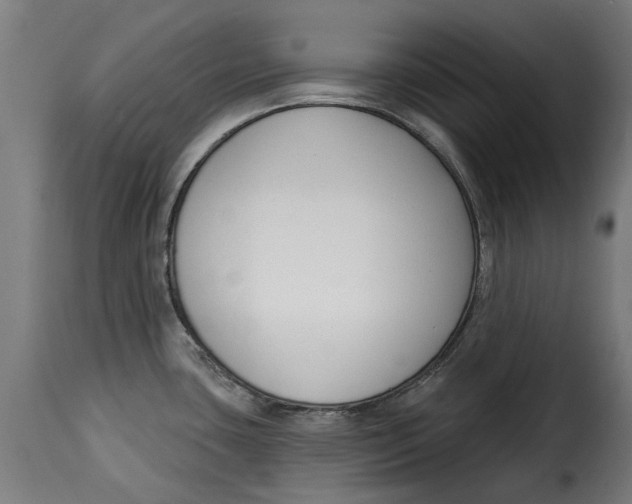 X0000115251435200911201633