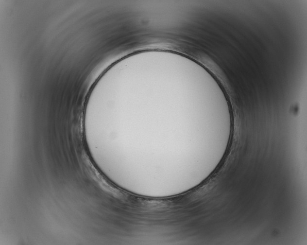 X0000115251436200911201633