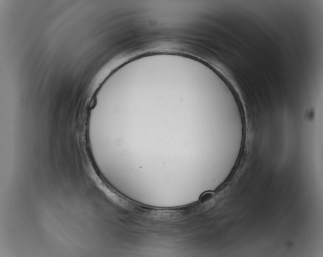 X0000115251437200911201633