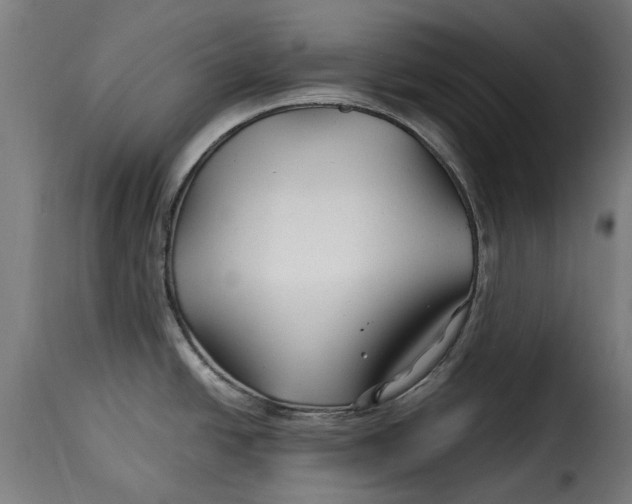 X0000115251438200911201633