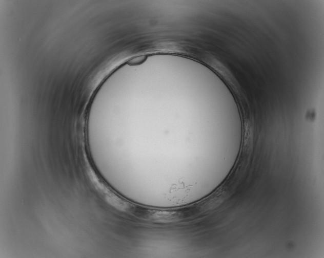 X0000115251439200911201633