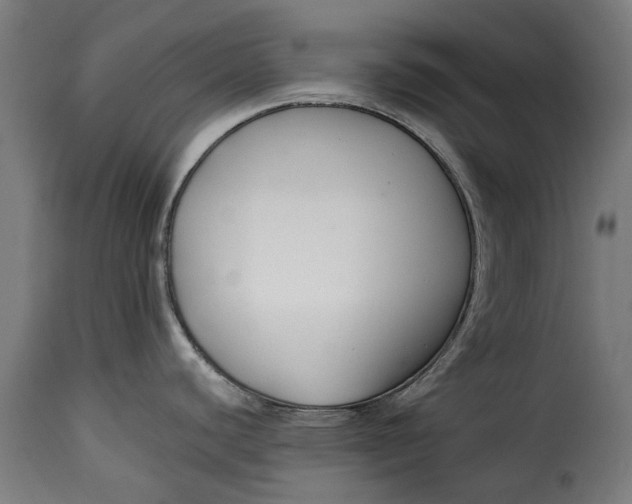 X0000115251440200911201633