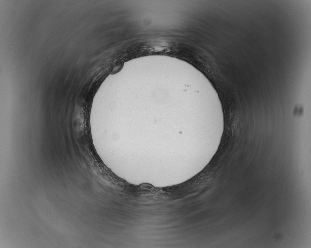 X0000115251442200911201632