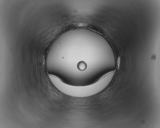 X0000115251443200911201632