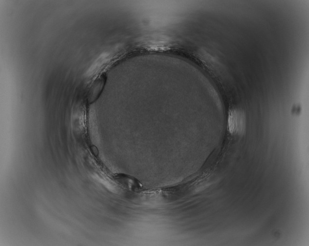 X0000115251444200911201632