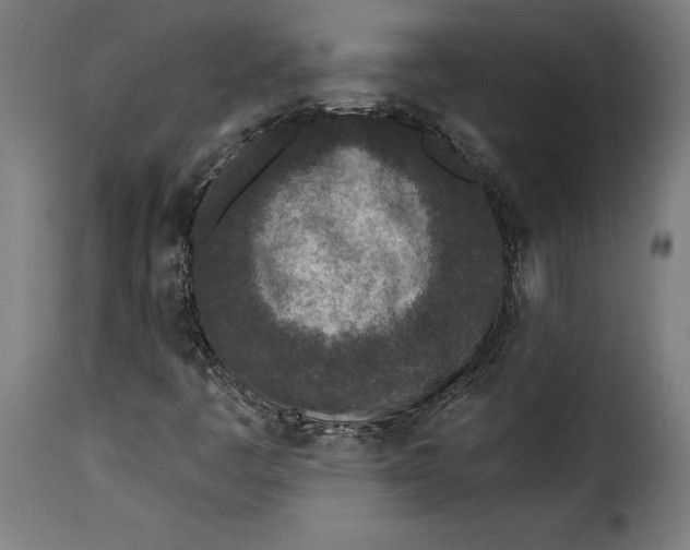 X0000115251445200911201632