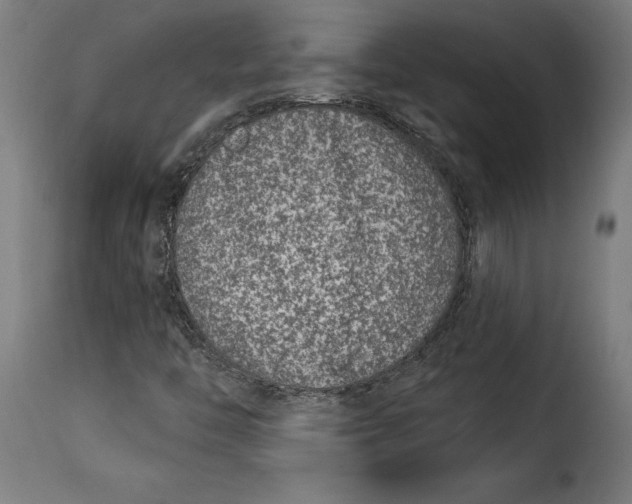 X0000115251446200911201632