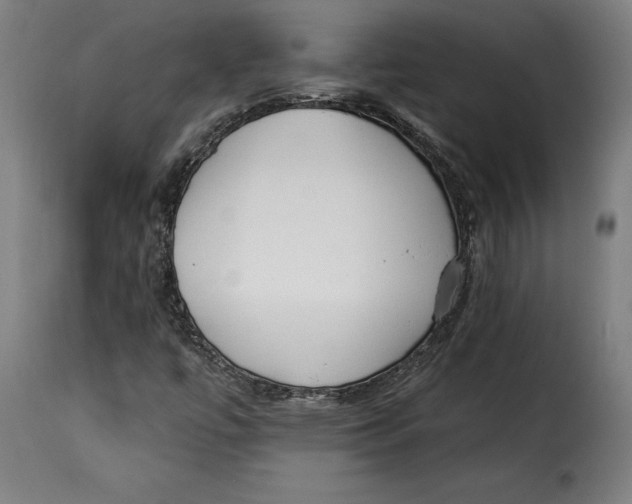 X0000115251447200911201632