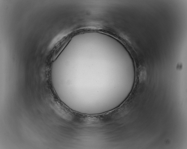 X0000115251448200911201632