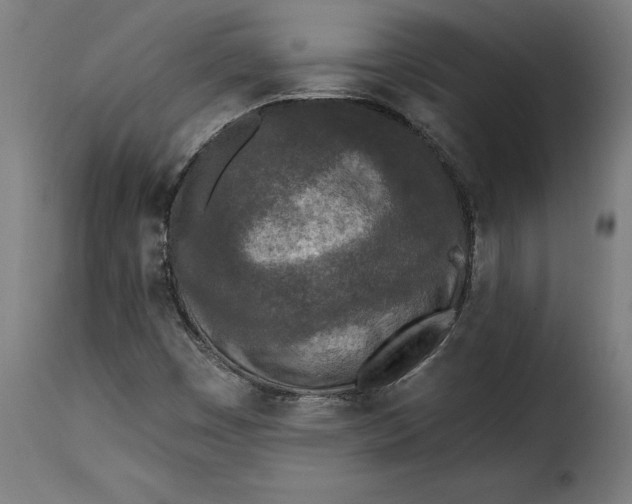 X0000115251449200911201632