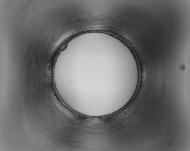 X0000115251450200911201632