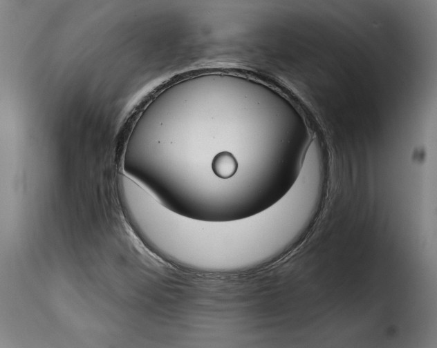 X0000115251452200911201632