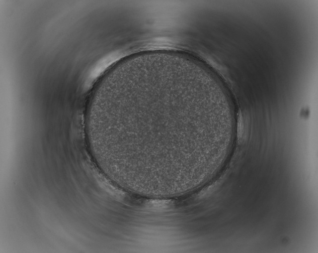 X0000115251453200911201632