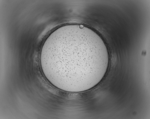 X0000115251454200911201632