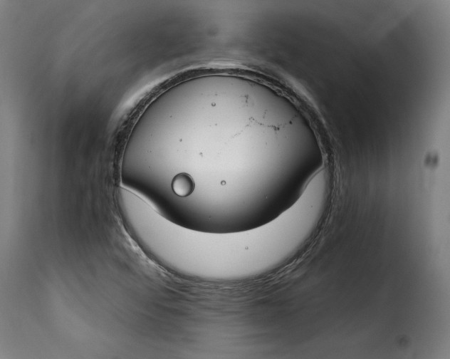 X0000115251456200911201632