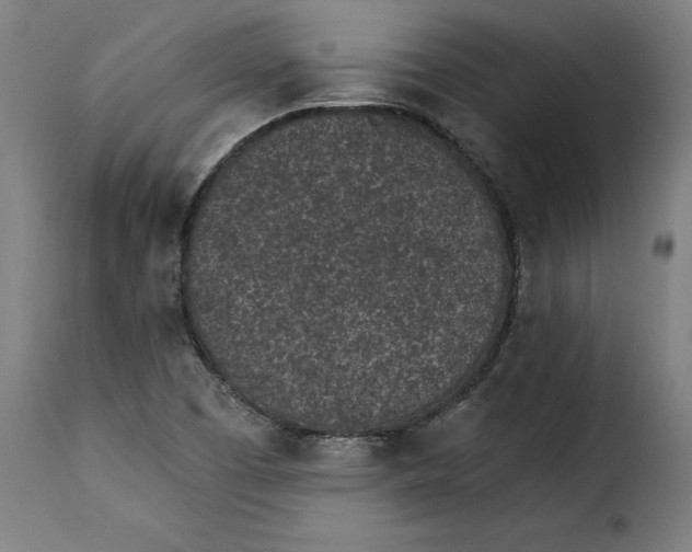 X0000115251457200911201632