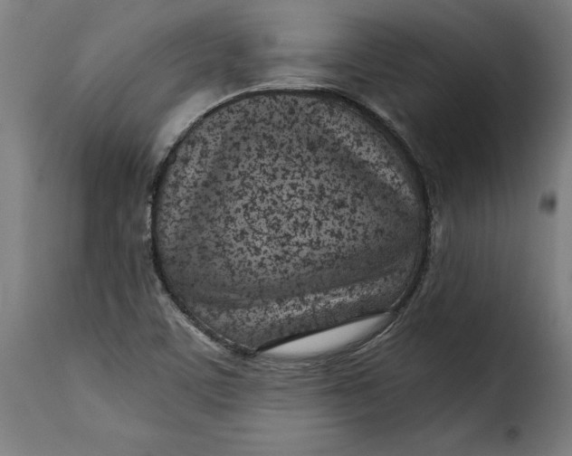 X0000115251459200911201632