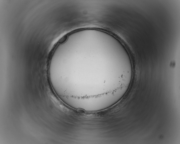 X0000115251460200911201632