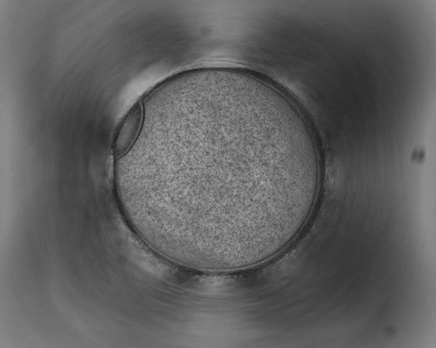 X0000115251461200911201632