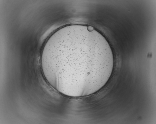 X0000115251462200911201632