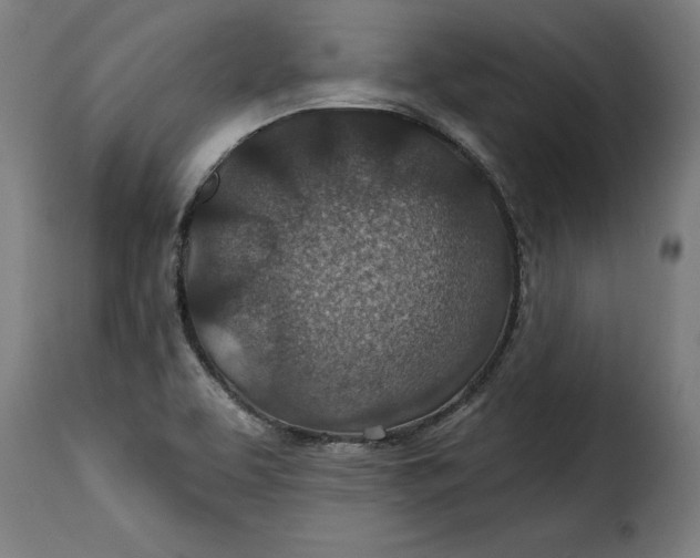 X0000115251463200911201632