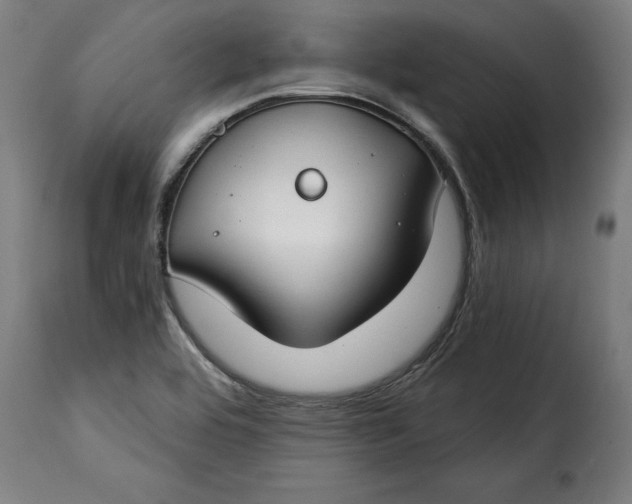 X0000115251464200911201632