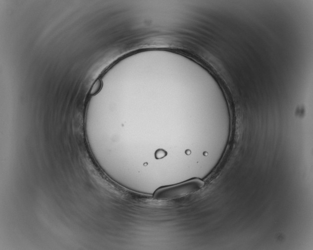 X0000115251465200911201632