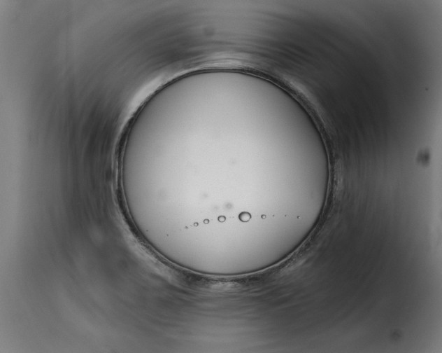 X0000115251467200911201632