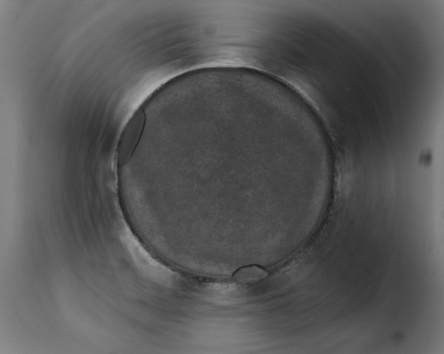 X0000115251468200911201632