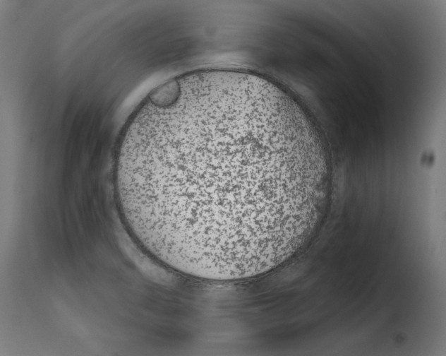 X0000115251470200911201632