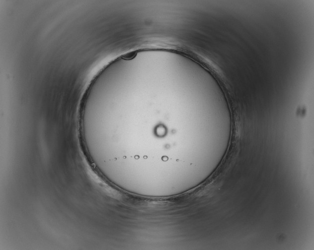 X0000115251471200911201632