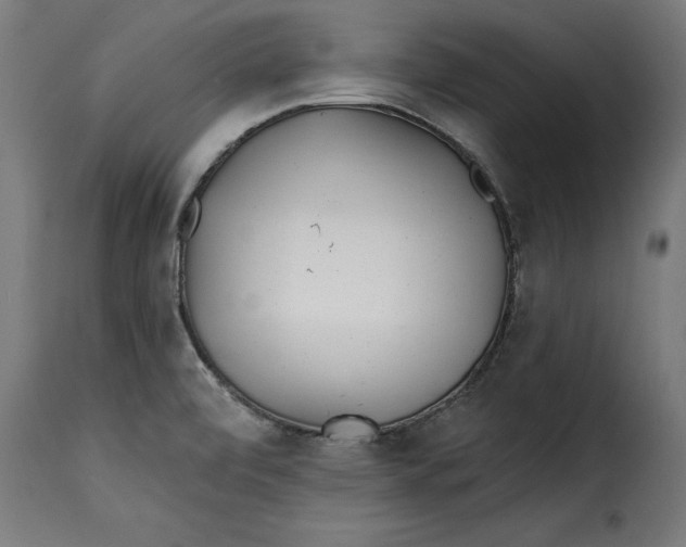 X0000115251472200911201632