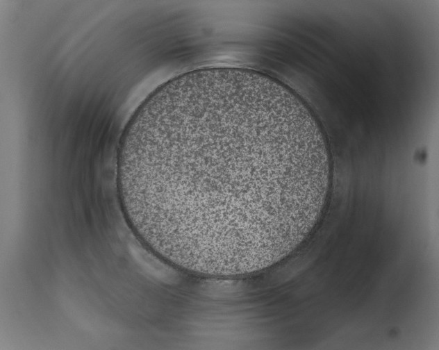 X0000115251474200911201632