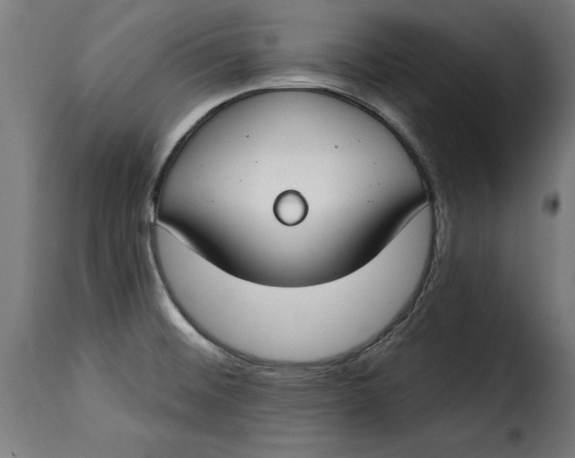 X0000115251476200911201632