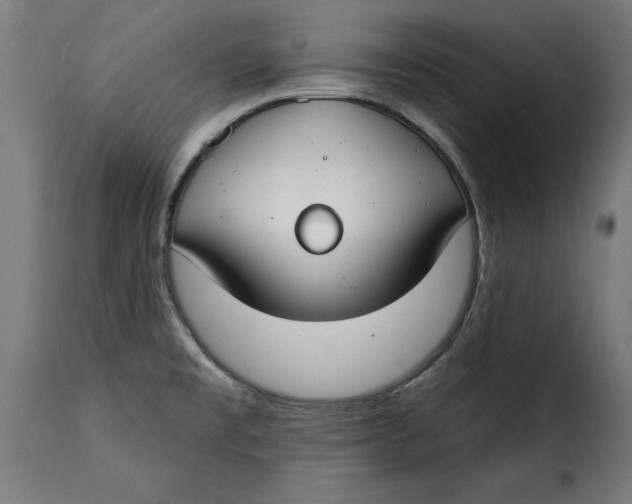 X0000115251477200911201631