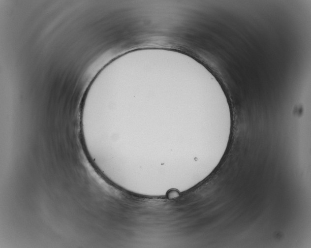 X0000115251479200911201631