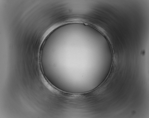 X0000115251482200911201631